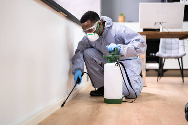 Best Residential Pest Control  in West Linn, OR